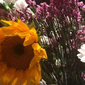 Meet your Posher, Catharine